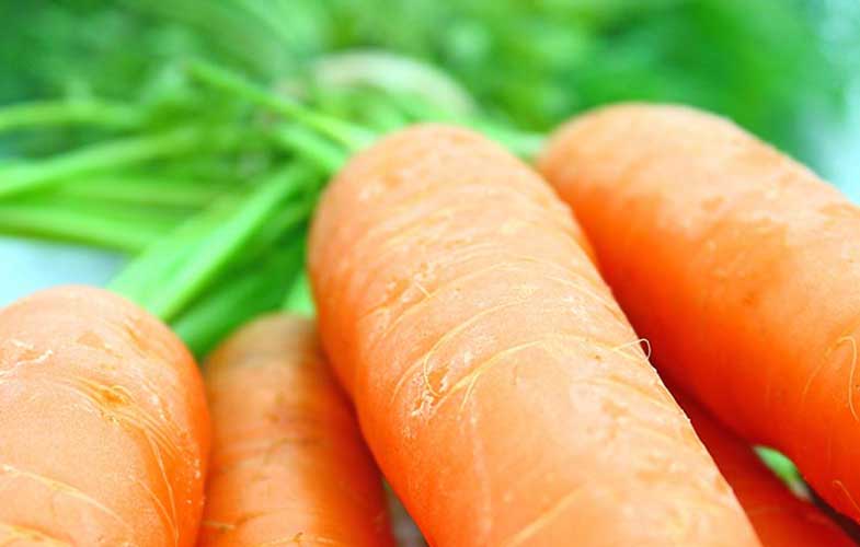 Carrots Nutrition
