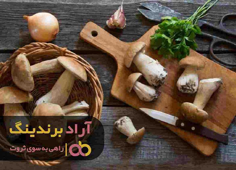 فروش قارچ صدفی کبابی شیراز