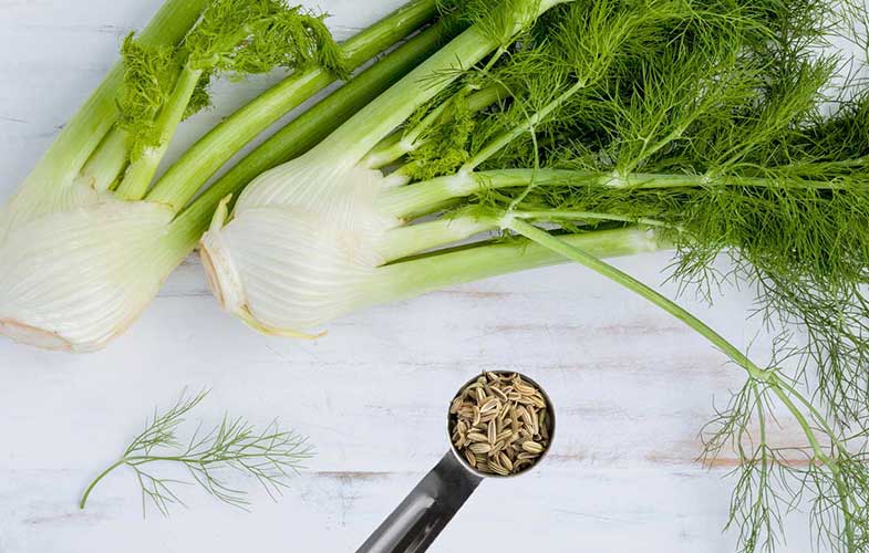 fennel and fennel seeds benefits 1296x728 feature