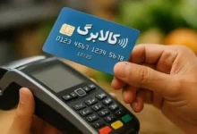64009697